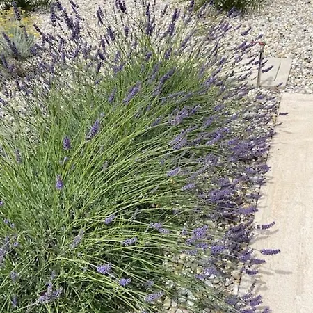 Mali Val Appartamento *