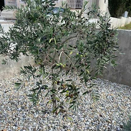Mali Val Apartmán Punat