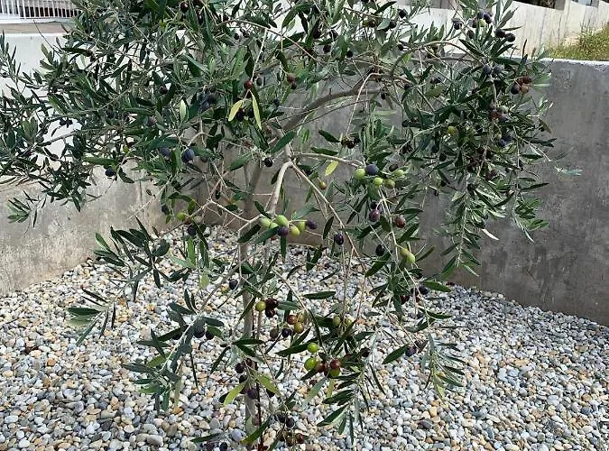 Mali Val Apartman Punat